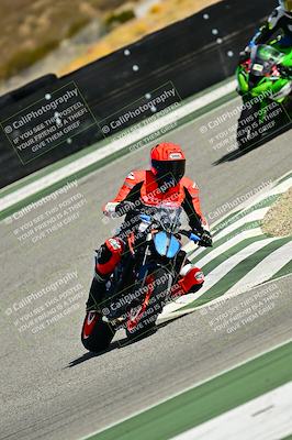 media/Oct-25-2025-2WTD (Sat) [[1e4a1f2fa2]]/B Group/Session 5 (Turn 2)/